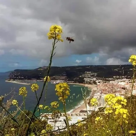 Sunset By Sun Sea * Sesimbra