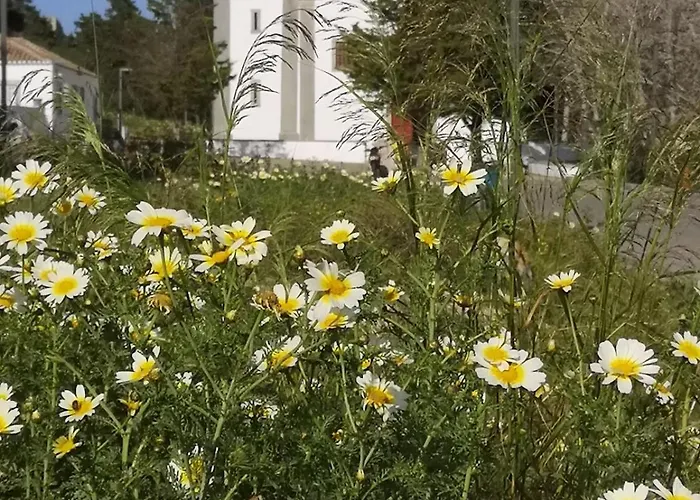 Sunset By Sun Sea Sesimbra