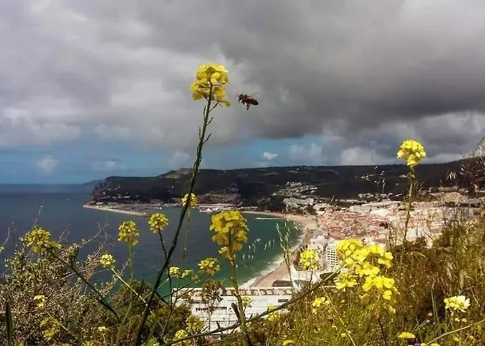 Sunset By Sun Sea * Sesimbra